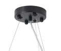 Lampa wisząca BOTANIKA 80 czarno-biała
