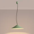 Lampa wisząca FINT szałwiowa LED