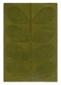 Zielony Dywan - SOLID STEM FERN
