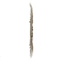 Lustro złote Feather