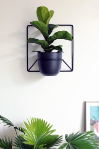 Kwietnik Jeno Czarny