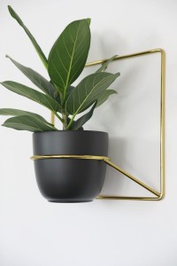 Kwietnik Jeno Złoty