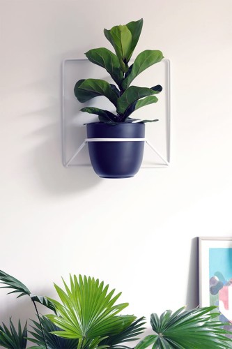 Kwietnik Jeno Biały