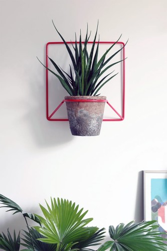 Kwietnik Jeno Czerwony