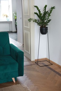 Kwietnik Dandys czarny