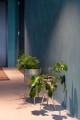 Planter Botanique M Dutchbone