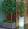 Donica lampa ogrodowa solarna Palma 70 