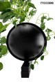 Lampa ścienna Plant Wall czarna Moosee