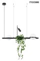 Lampa wisząca Plant czarna