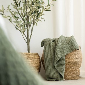 Pled leniwy poranek oliwkowy