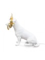Lampa pies Rio Seletti